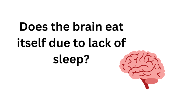 Does the brain eat itself due to lack of sleep?